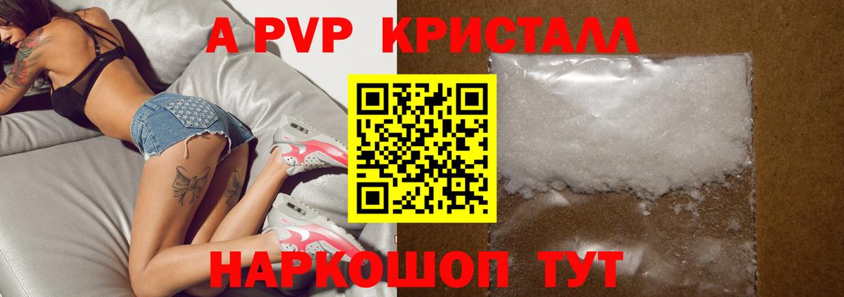 A PVP СК Камышин