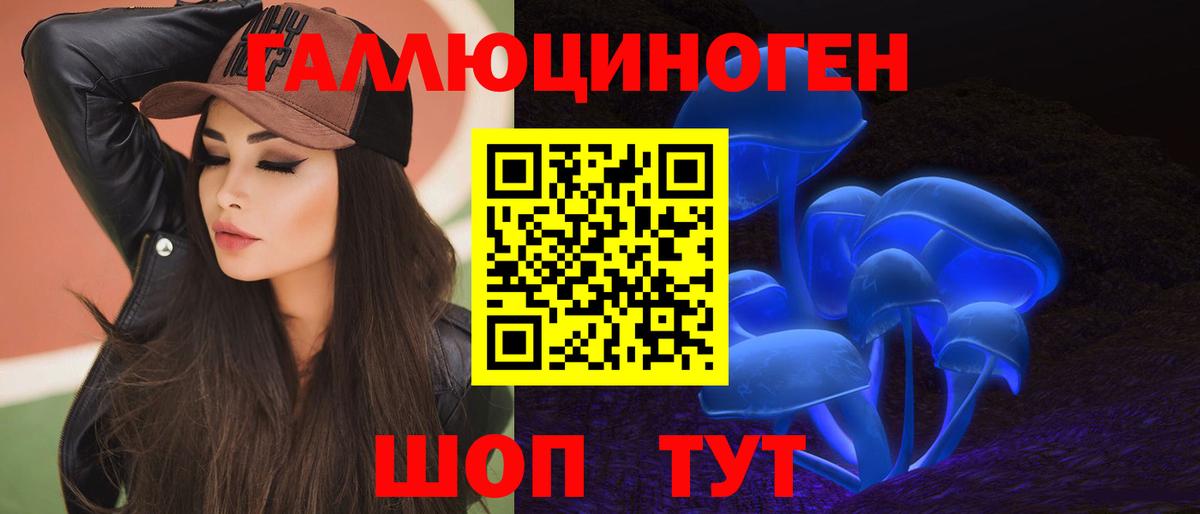 Галлюциногенные грибы Psilocybine cubensis Камышин